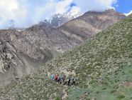 Trail-to-Base-Camp