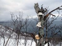 IMG_6877