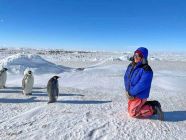 Penguins-DH