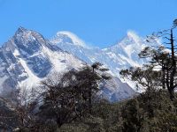 IMG_6982