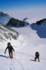 Vinson2005-187