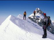 Vinson2005-288