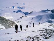 vinson2005-260